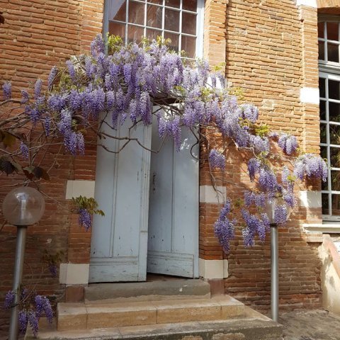 Les Jardins d'Arcadie à Toulouse : La résidence